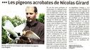 Les-pigeons-acrobates-de-Nicolas-Girard2.jpg