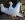 arm-Fred-Dubuc_2