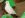 arm-FredX_2