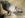 arm-FredX_8