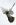 arm-JM-Diogo_2