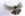arm-JM-Diogo_3